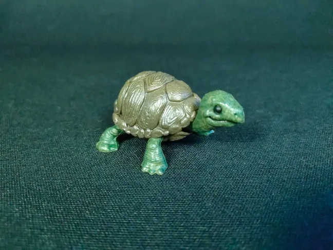 Imagen de la tortuga que viene como accesorio
