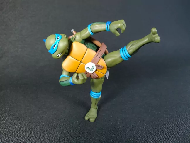 Imagen de Leonardo en postura karateka