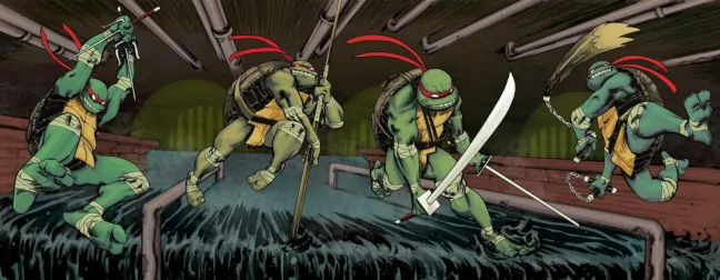 Las Tortugas Ninja de IDW, versión de Tim Duncan