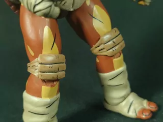 Imagen detallada de las piernas de Moja